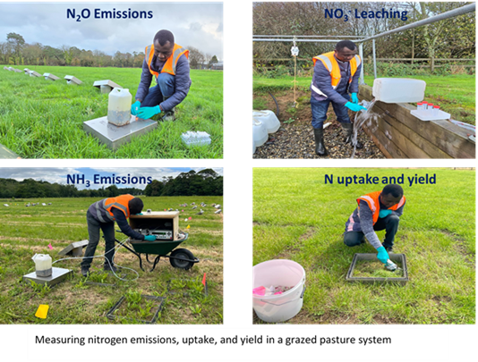 Measuring nitrogen emissions, uptake and yield in a grazed pasture system